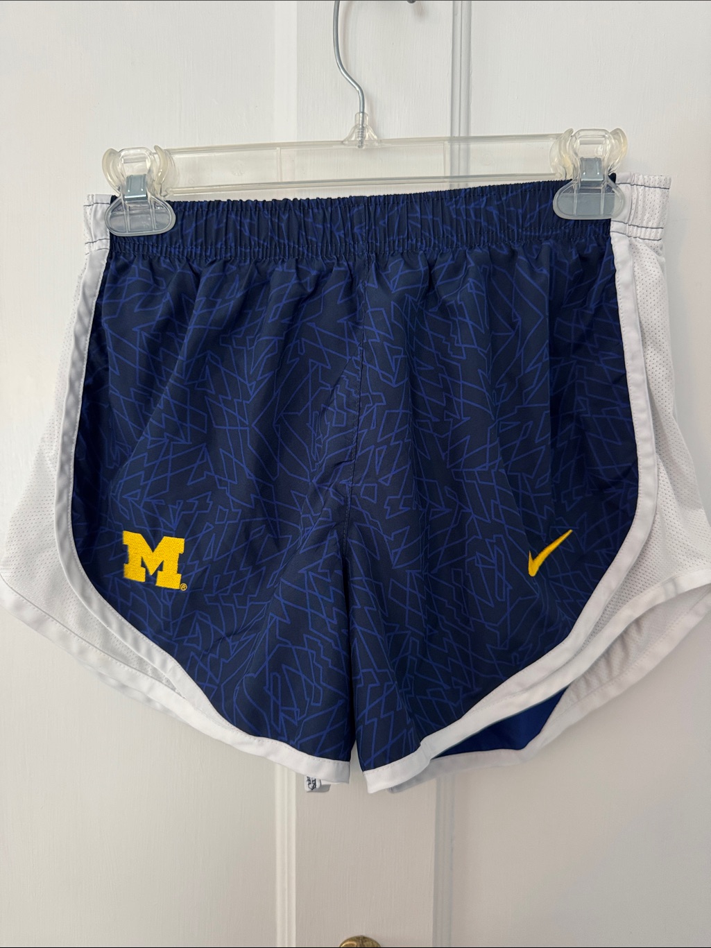 Nike Michigan Shorts